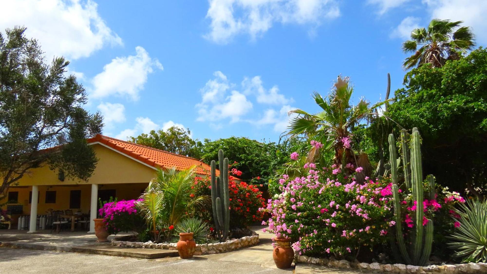 Lagun Blou Resort Curacao Buitenkant foto
