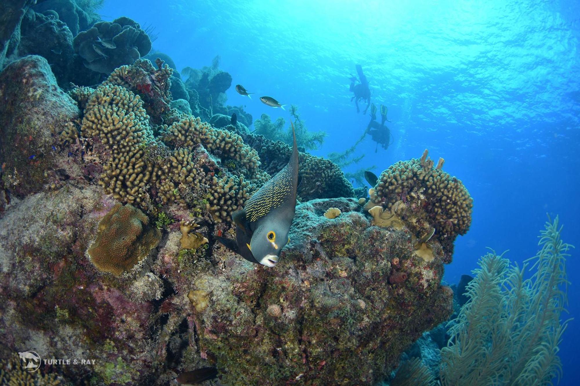 Lagun Blou Resort Curacao Buitenkant foto